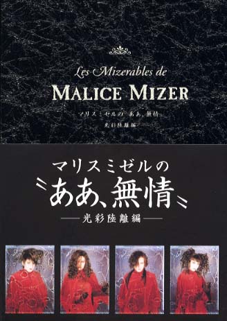 マリスミゼルの“ああ、無情” 光彩陸離編 / 広瀬 充【著】 - 紀伊國屋
