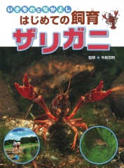 ダンゴムシ (いきものとなかよし はじめての飼育) ：今泉忠明 - 金の星社