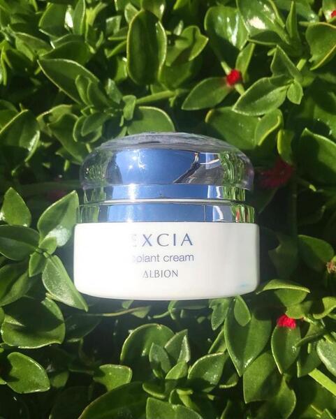 アルビオン エクシア リプラント クリーム｜紹介記事｜キレイエ