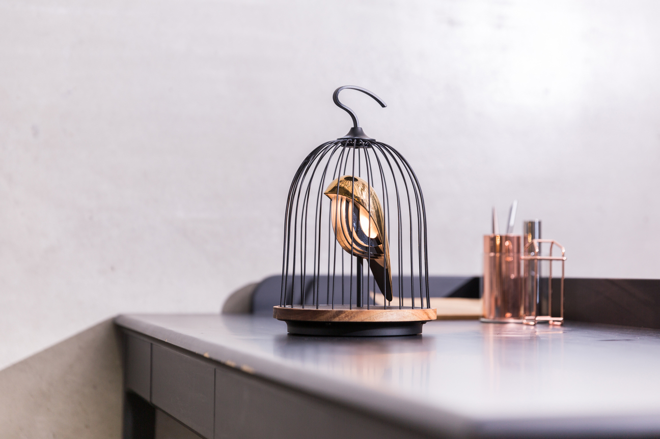 LED照明＆スピーカー「JinGoo The Phoenix ジングーフェニックス」JG01