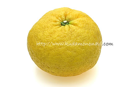 甘夏 甘夏みかん ｜ カンキツ（その他柑橘類） 品種の特徴 食べ方 選び方