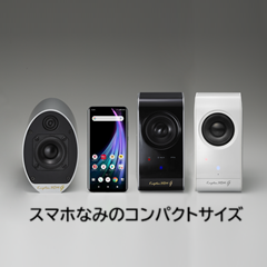 ワイヤレス・コンパクトオーディオ KS-11G （ペア） Wireless Compact