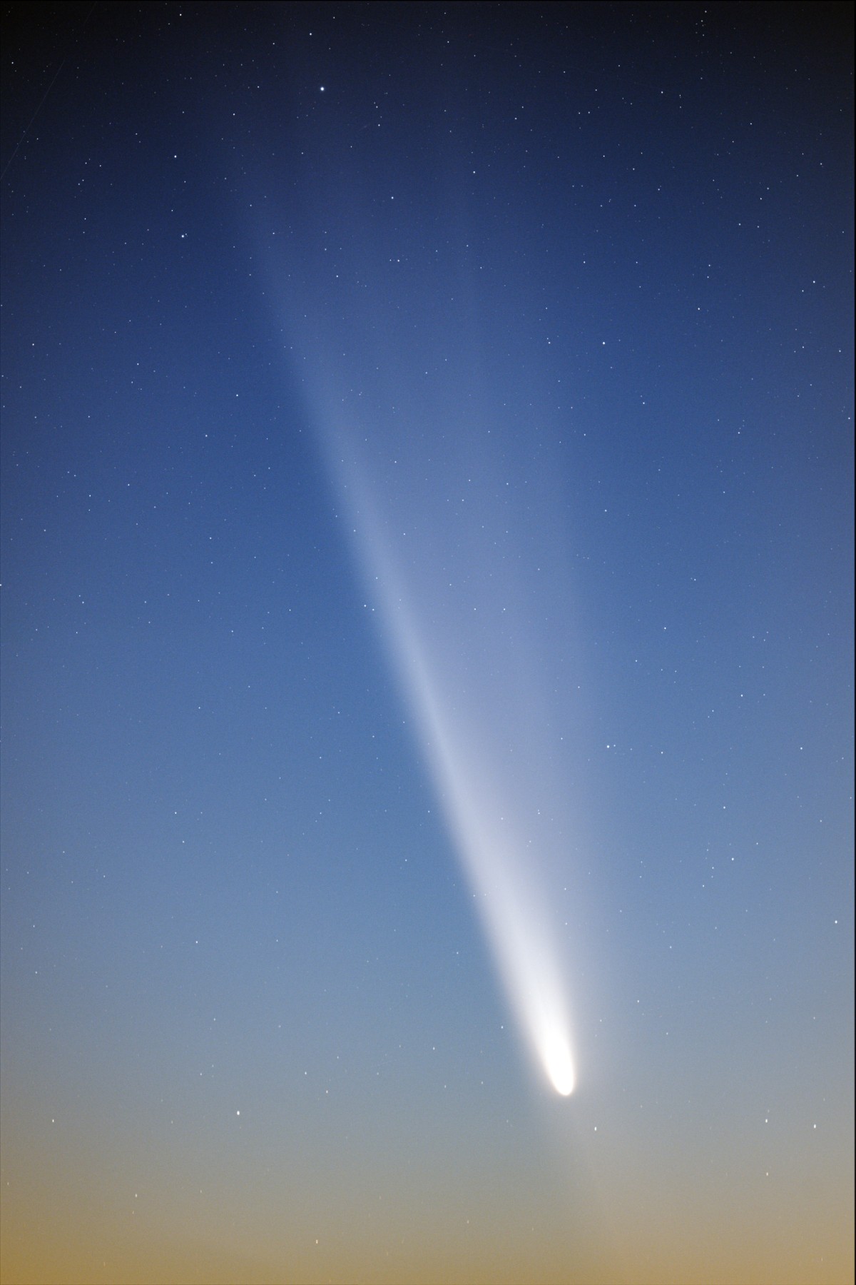 ビクセン レデューサーV0.71x (VSD90/70SS用)【在庫あり】 ネイチャー