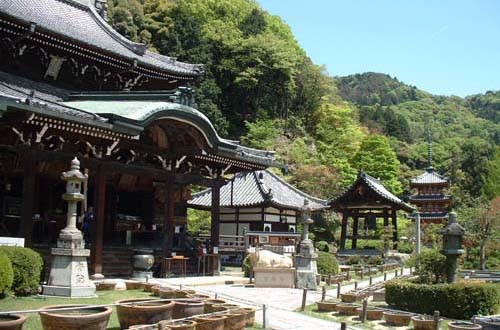 宇治市観光協会 公式ホームページ