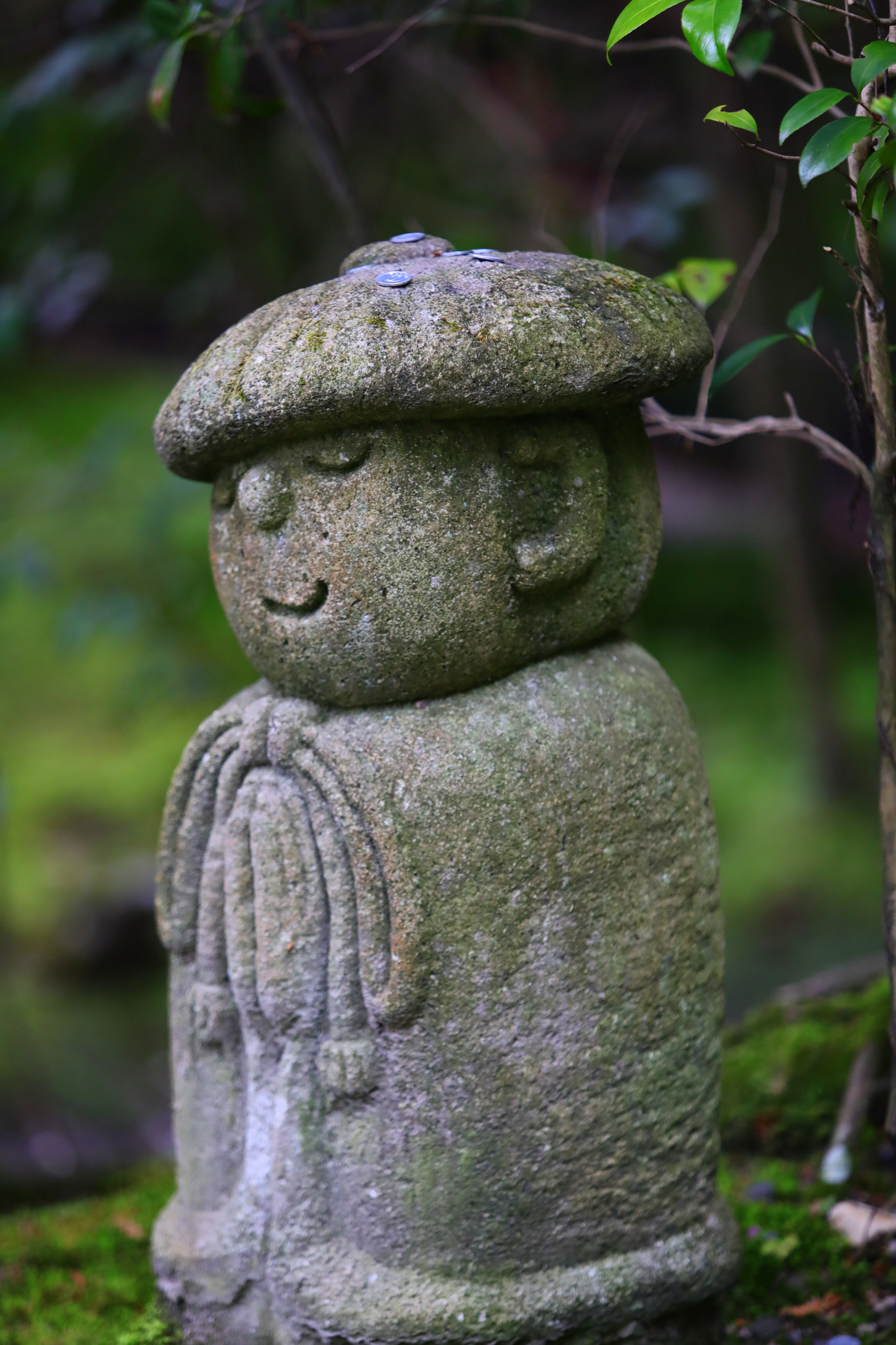 不思議かわいい羅漢像がずらり「一休寺 20世紀の森」｜#古都の不思議に