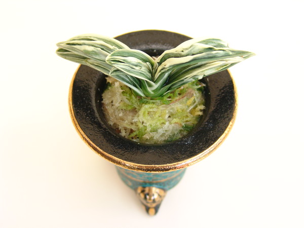 愛玉殿 (あいぎょくでん) Aigyokuden – おもとの豊明園（ほうめいえん）