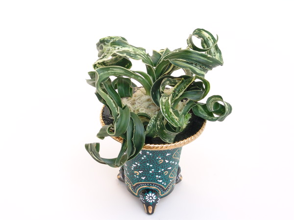 輪波獅子 (わなみじし) Wanamijishi – おもとの豊明園（ほうめいえん）