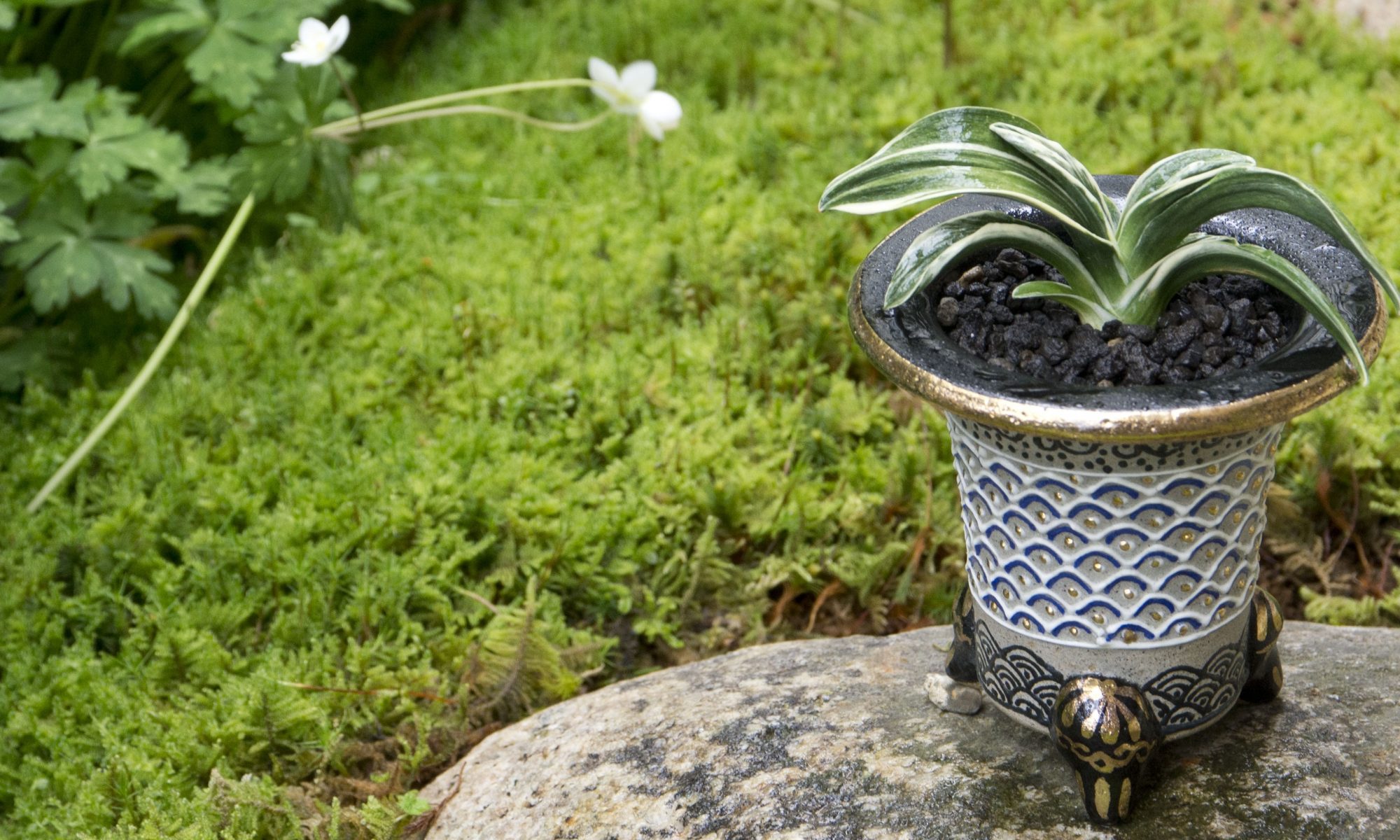 寿晃 (じゅこう) – おもとの豊明園（ほうめいえん）