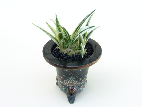 各種図鑑 – おもとの豊明園（ほうめいえん）