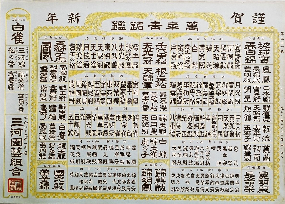 萬年青名鑑 – おもとの豊明園（ほうめいえん）