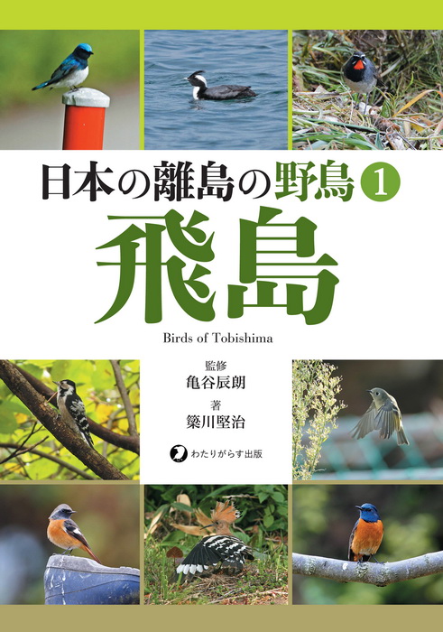 日本の離島の野鳥①飛島 Hobby's World｜野鳥撮影やバードウォッチング