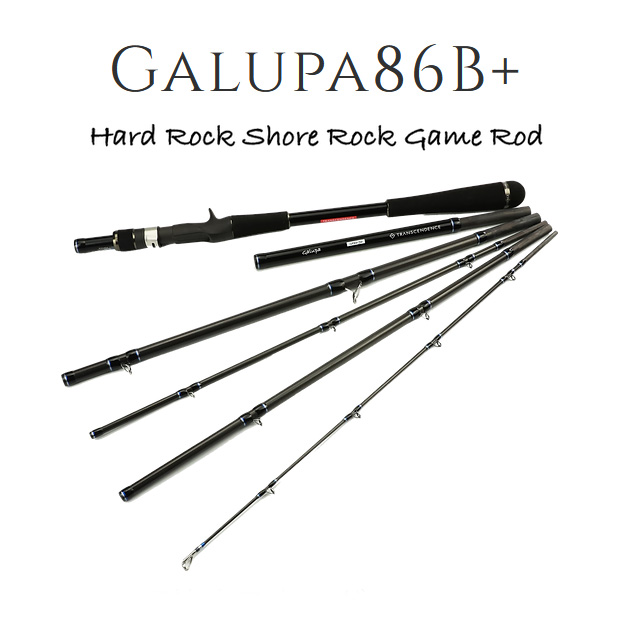 TRANSCENDENCE/トランスセンデンス】Galupa86B+ / ガルッパ86B+