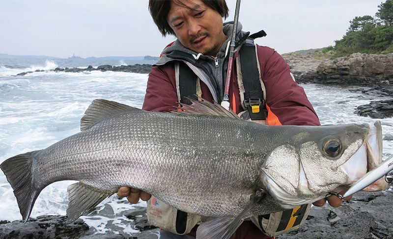 Fishman/フィッシュマン] BRIST VENDAVAL 8.9M (code:FM0085)