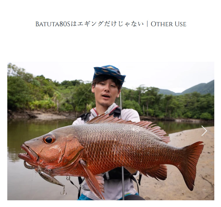 TRANSCENDENCE/トランスセンデンス】Batuta 80S / バトゥータ 80S