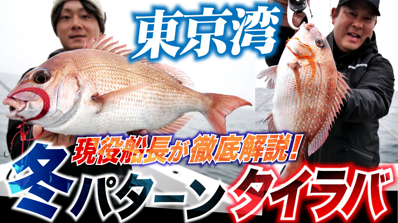 タイラバ｜ハヤブサチャンネル｜HAYABUSA｜株式会社ハヤブサ