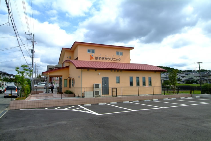 がんが自然に治る生き方-ブログ-木更津市の内科 オンライン診療 千葉県