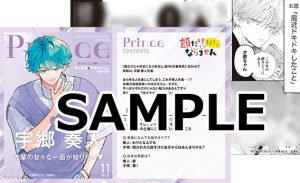 花とゆめコミックス「顔だけじゃ好きになりません」16巻（安斎かりん