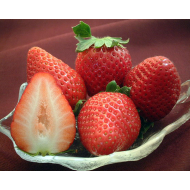 いちご苗 さちのか イチゴの苗・葉牡丹など、花や野菜の苗を通信販売