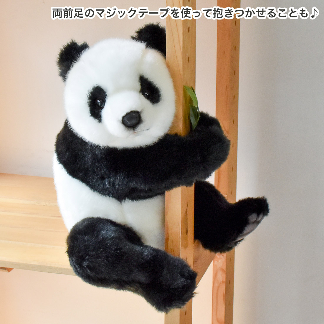 ジャイアントパンダ 33 | HANSA