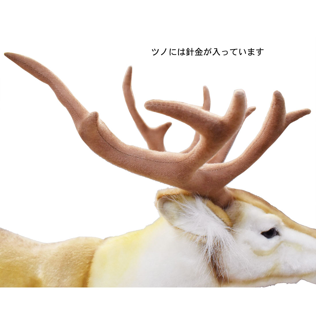 トナカイ 60 | HANSA