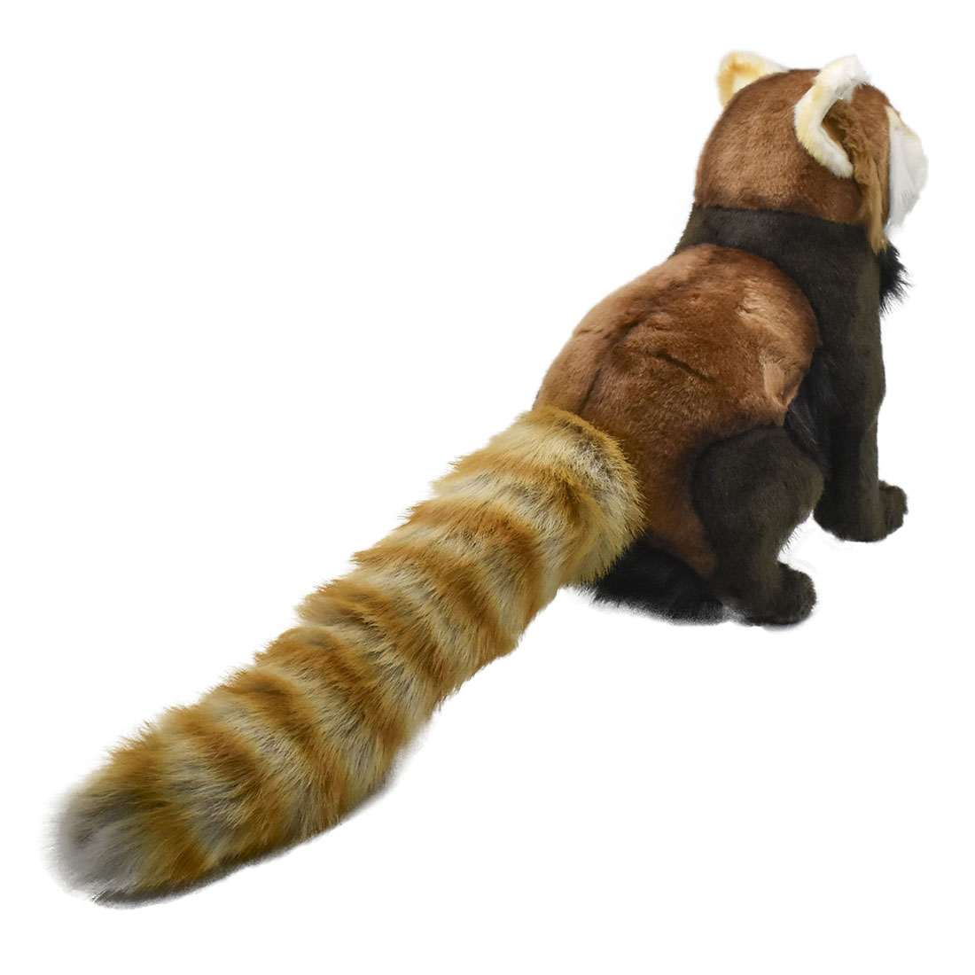 レッサーパンダ 69 | HANSA