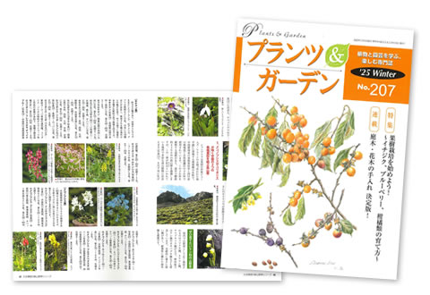 受講申込 - 植物雑貨クリエイター養成講座