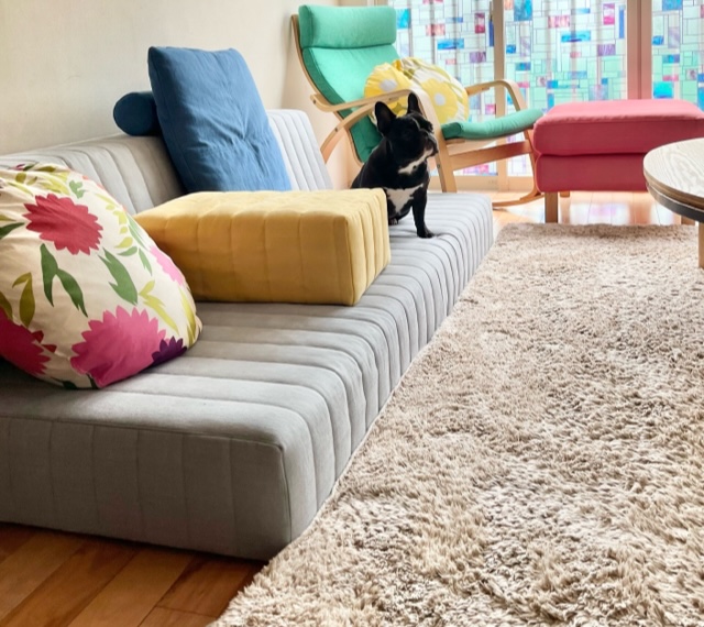 カラフルなクッションで “積み木” らしいつみきソファ！ – ローソファ