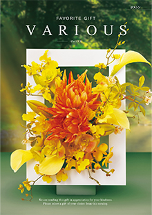 カタログギフトのハーモニック ヴァリアス ボストン