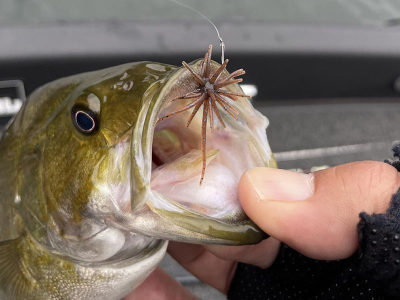 コイケ マイクロ HIDEUP ハイドアップ