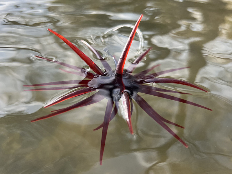 コイケ フルキャスト HIDEUP ハイドアップ