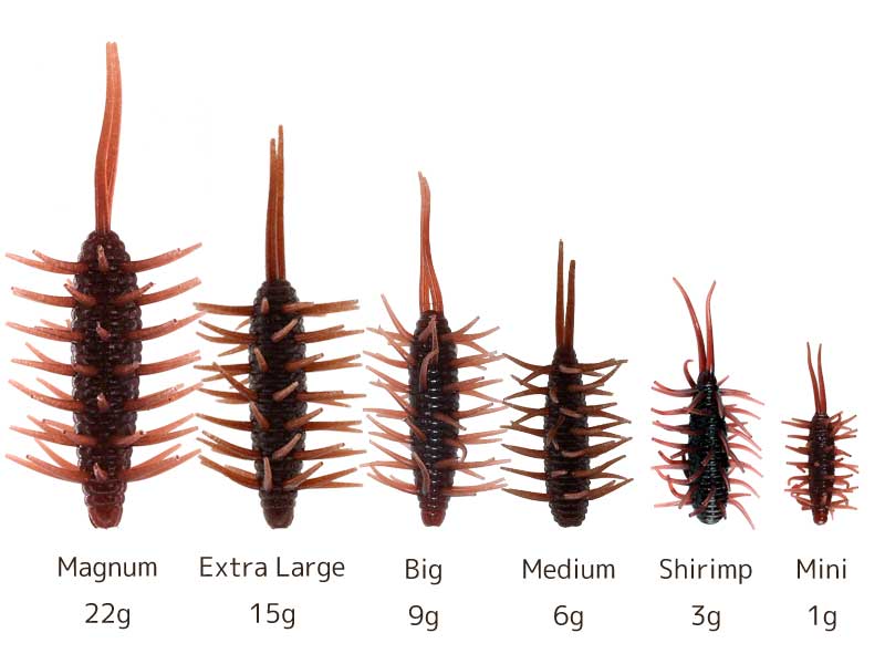 コイケシュリンプ HIDEUP ハイドアップ