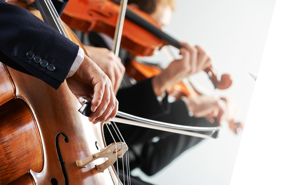 49A50 | ハイセンスジャパン株式会社