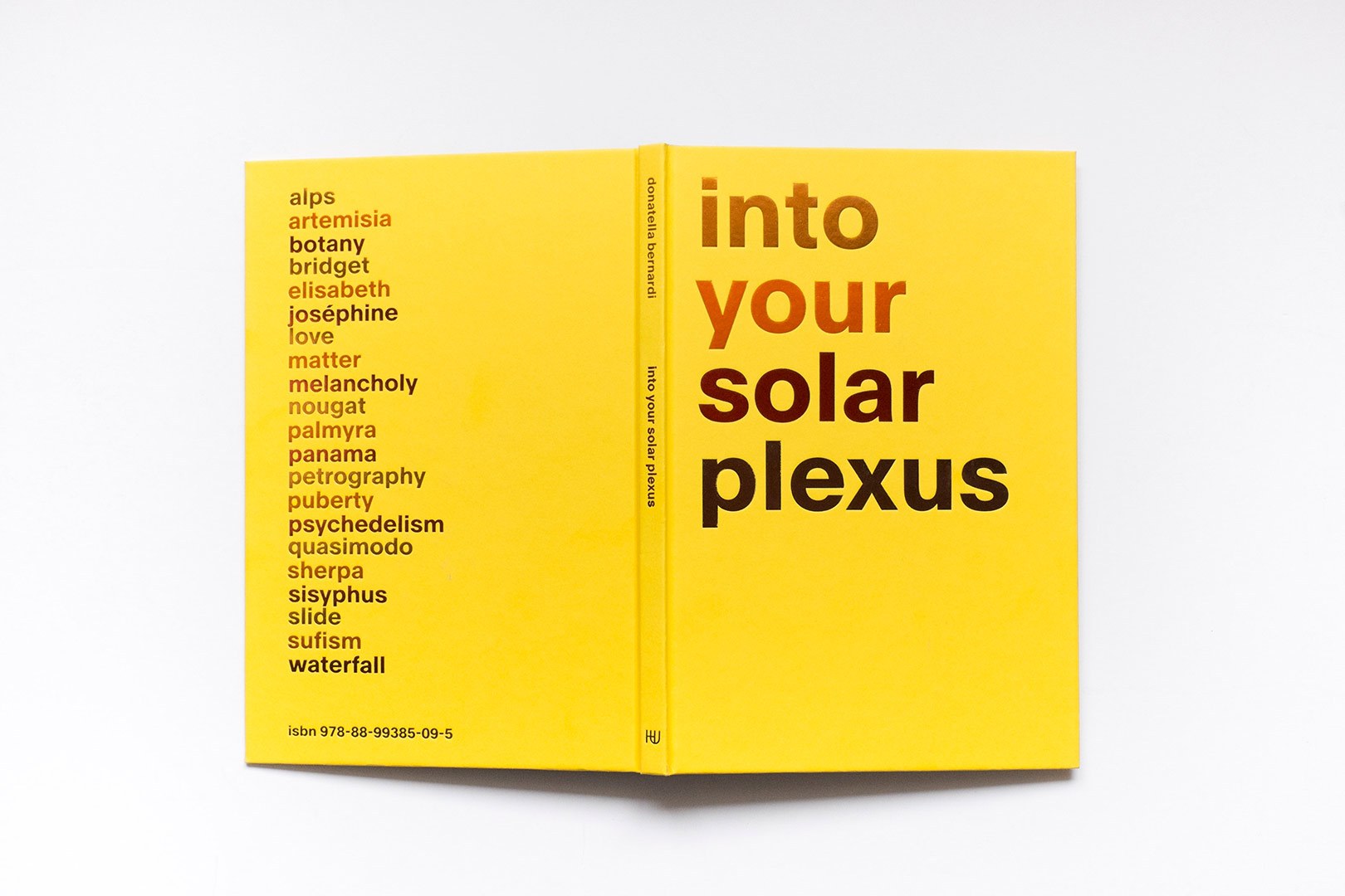 Into Your Solar Plexus | Humboldt Books