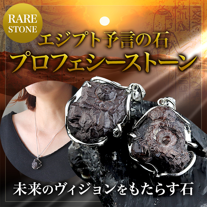 一点もの】プロフェシーストーン（ゼットストーン）ペンダント