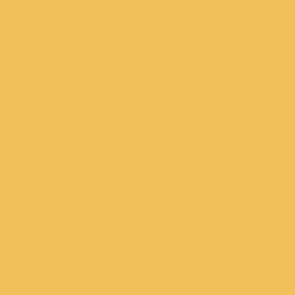 BUY Pantone TPG Sheet 14-0848 Mimosa