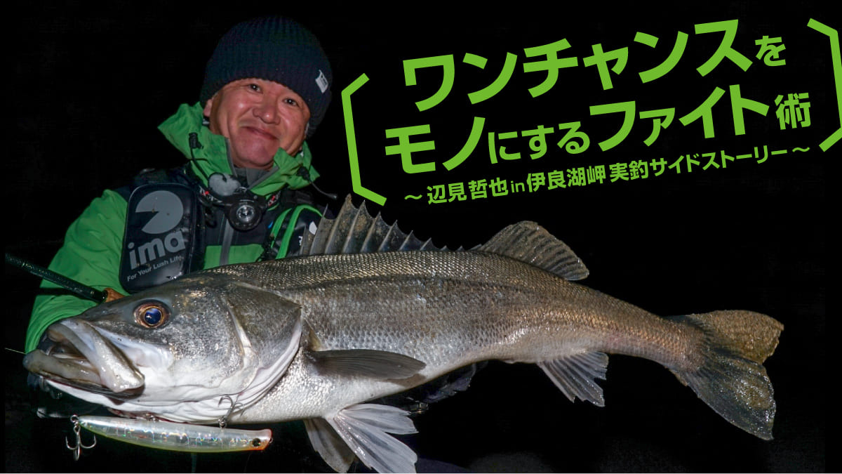 shibumi | ima 公式ブランドサイト-オンラインストア