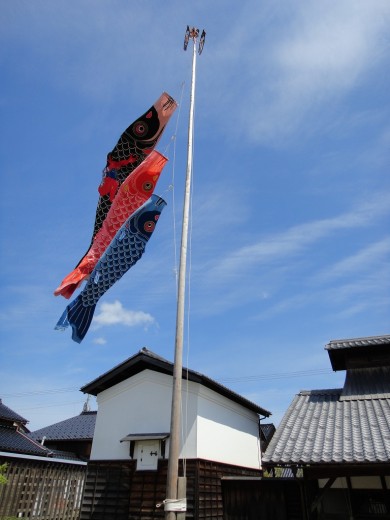 鯉のぼり・武者のぼり – 豪商 稲葉本家