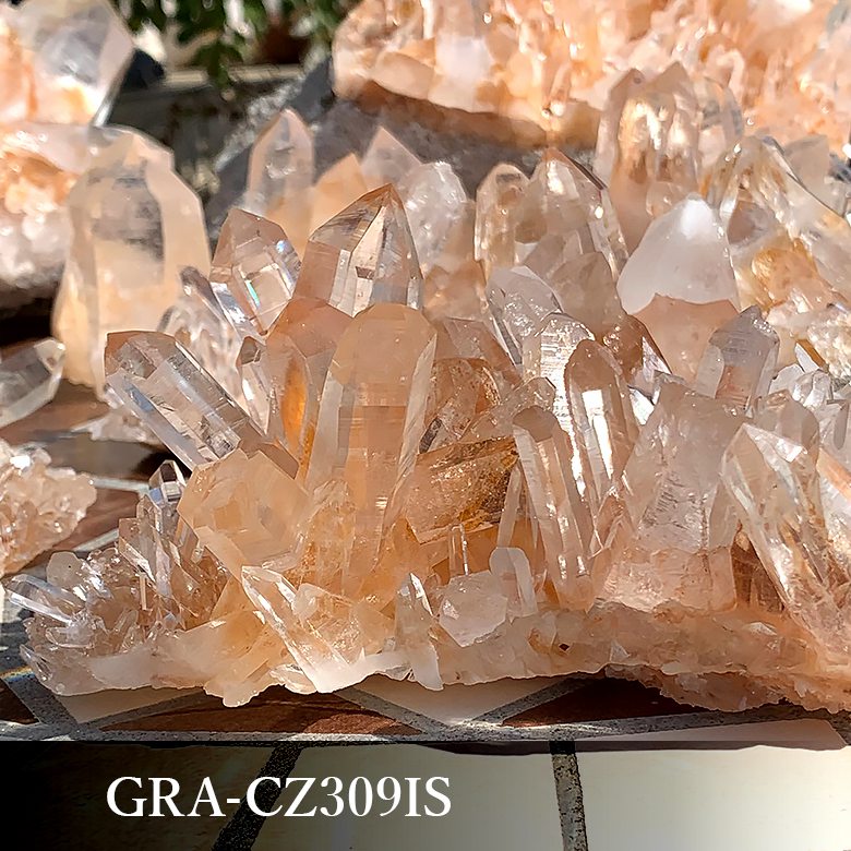 ぽんぽん♪ ヒマラヤクラスター A1168、A1244、A1185 ぽんぽん