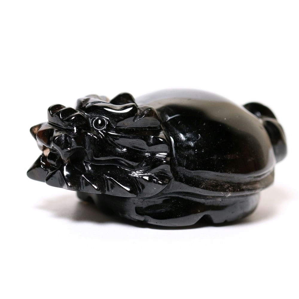 中国/山東省産]モリオン彫刻/天然黒水晶（龍亀/ロングイ） - 埼玉県