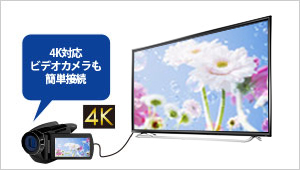 EX-LD4K552DB | 4K対応＆広視野角ADSパネル採用 55型（可視領域54.6型