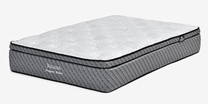 REGALIA（レガリア）マットレス「インシグニアデラックス V FR CH」厚