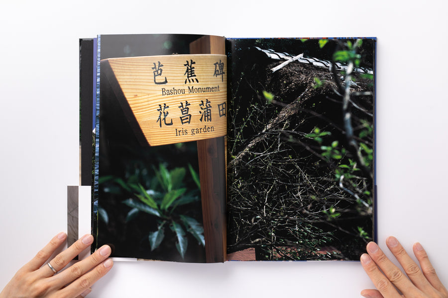 Mint) Documentary by 中平卓馬 – IACK