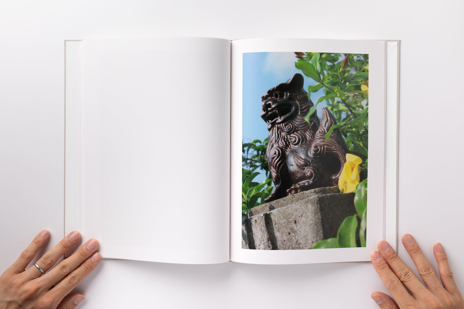 2X6A2806_4100x.jpg?v=1691817247