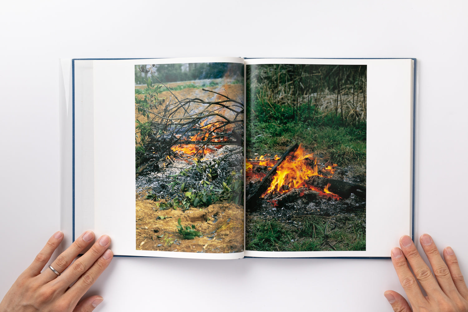 2X6A2813_4100x.jpg?v=1691762603