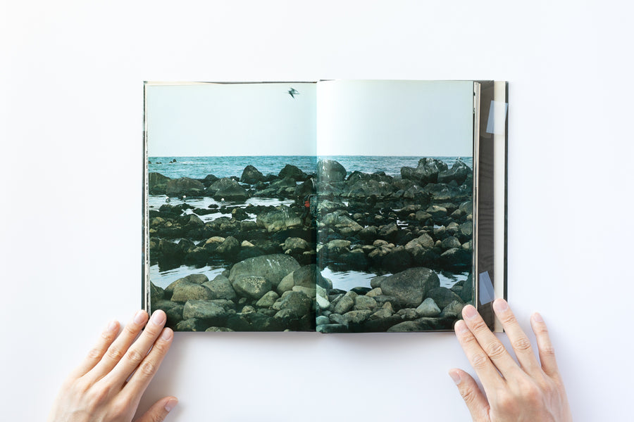 新たなる凝視 by 中平卓馬 – IACK