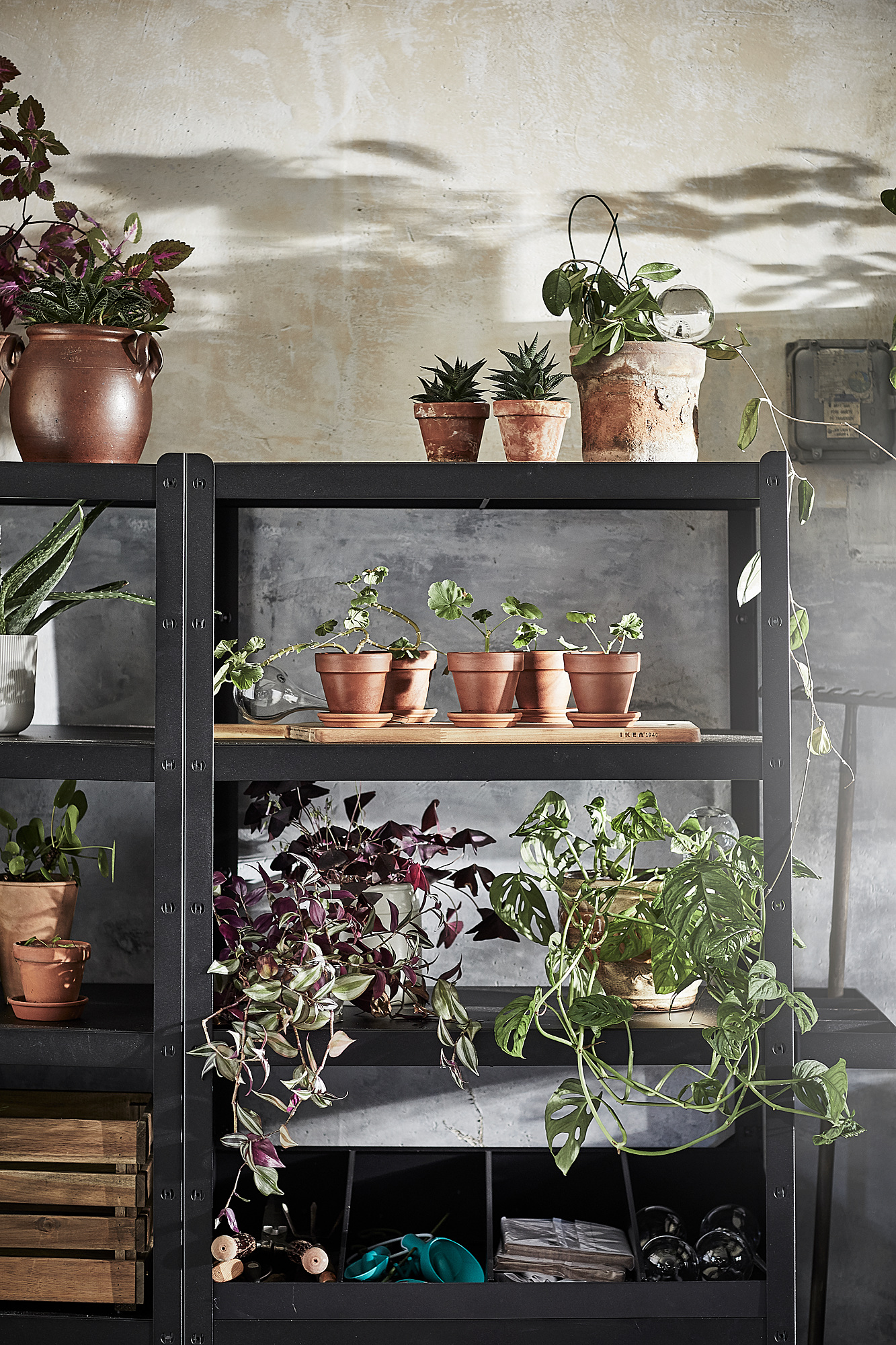 IKEA BROR ブロール 棚板×3、脚×4（1セット） BROR ブロール 棚板,