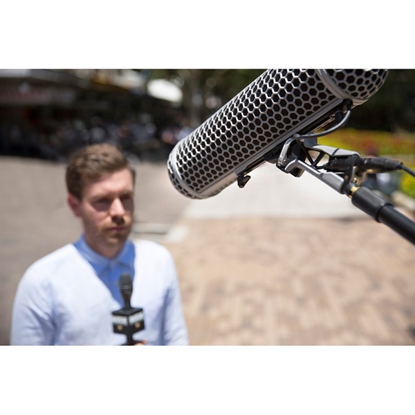 RODE BLIMP(ロード)(直径19-22mmまで)(風防セット) ｜イケベ楽器店