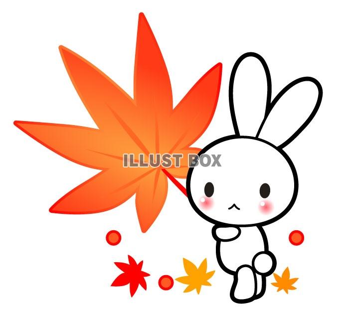 うさぎともみじのイラストカット：イラスト無料
