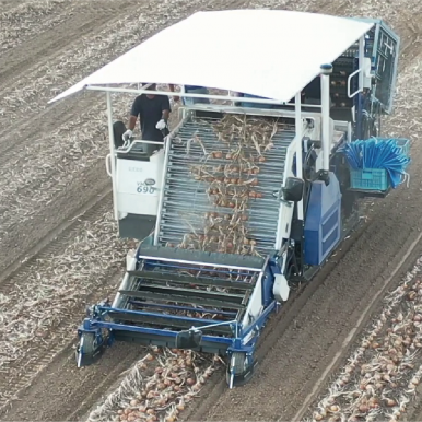 玉葱関連作業機｜商品情報｜株式会社ISEKI Japan