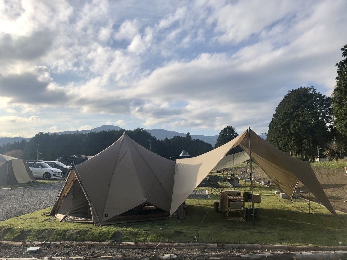 ゼクーMをフタマタノキワミで二股化！3つのメリットとデメリット